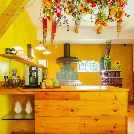 Πανσιόν Reijgershof - The Barok Lounge 4*