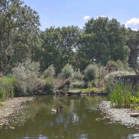 Reijgershof - The Barok Lounge 招待所