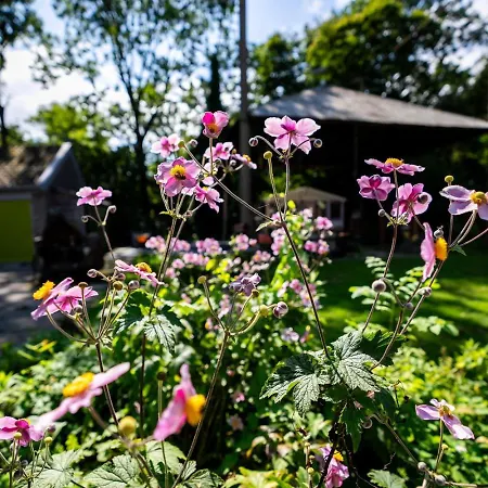 Reijgershof - The Barok Lounge بيت ضيافة