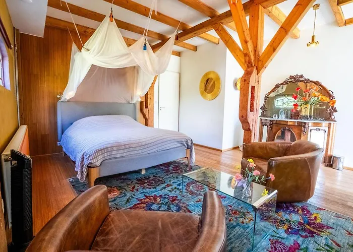 Reijgershof - The Barok Lounge ゲストハウス アムステルダム