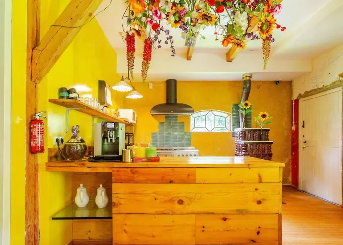 ゲストハウス Reijgershof - The Barok Lounge 4*