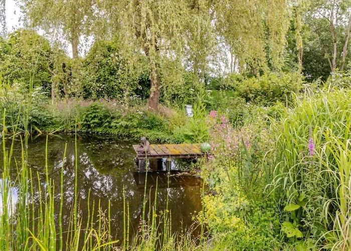 ゲストハウス Reijgershof - The Barok Lounge 4*