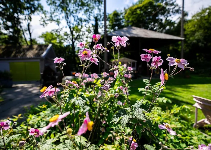 Reijgershof - The Barok Lounge ゲストハウス