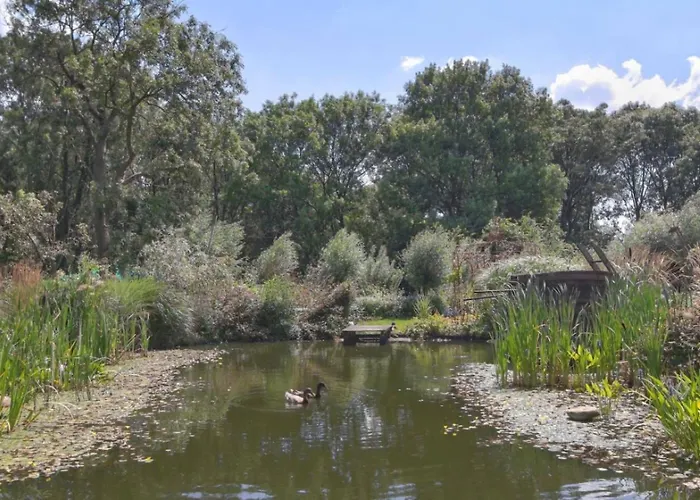 Reijgershof - The Barok Lounge ゲストハウス