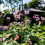 Reijgershof - The Barok Lounge Guest house